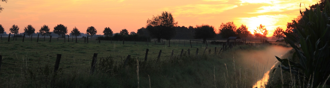 Heide Wirtz-Naujoks_4